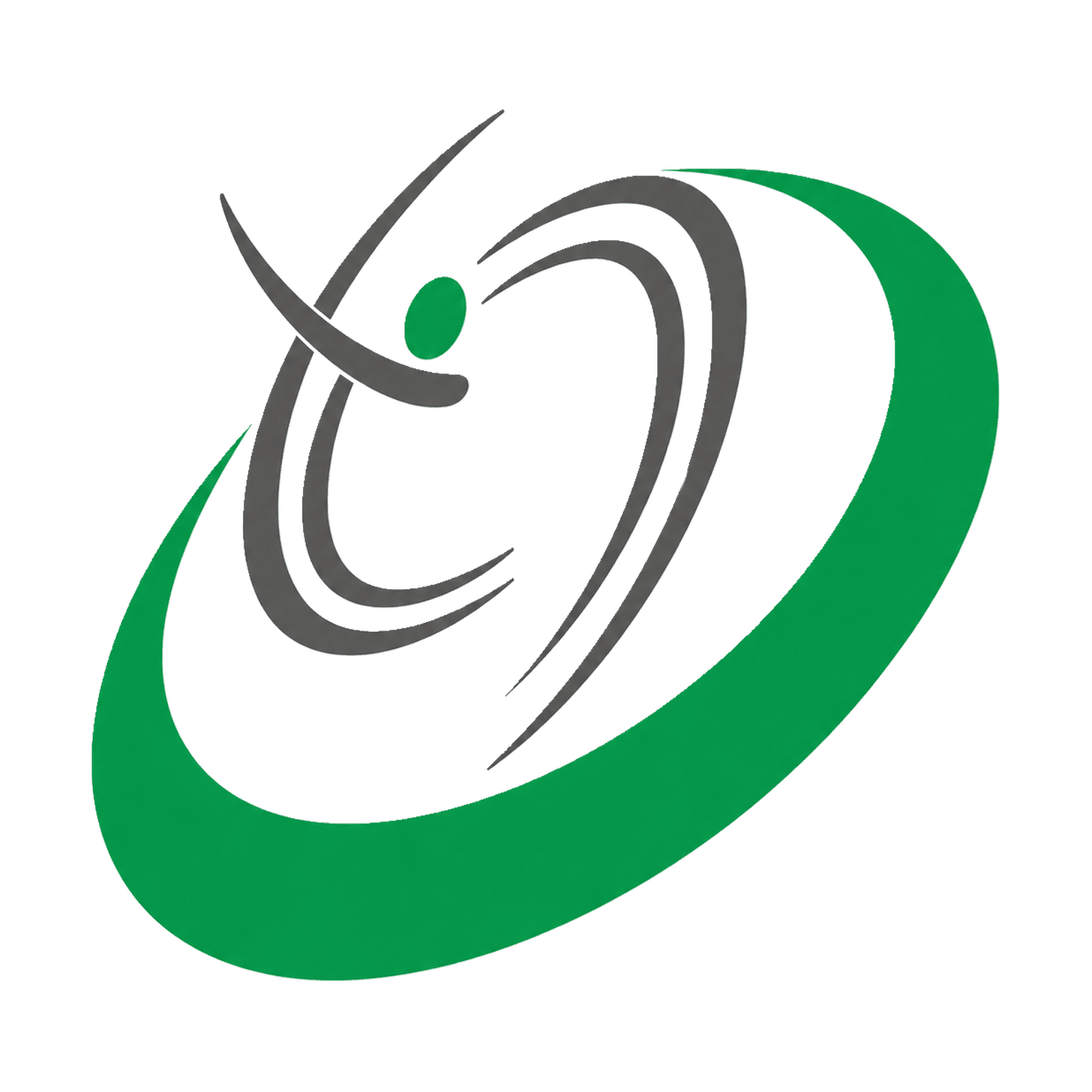 Times IT Projects Limited logo