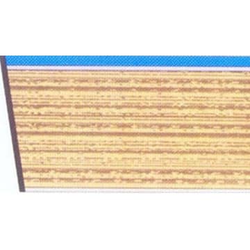 Partially steel encapsulated panel